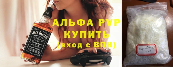 индика Касимов