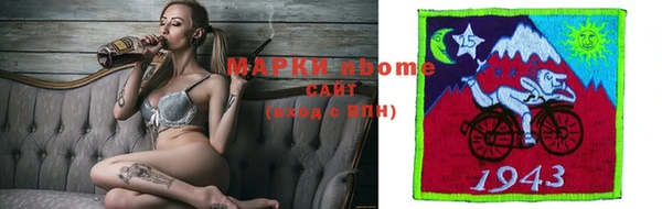 индика Касимов