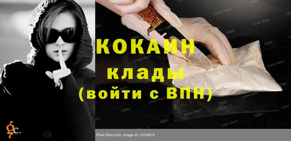 индика Касимов