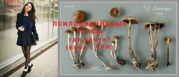 индика Касимов