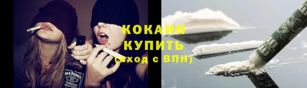 индика Касимов