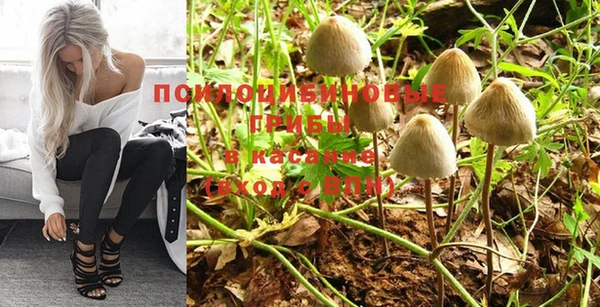 индика Касимов