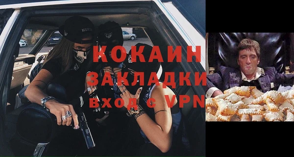 индика Касимов