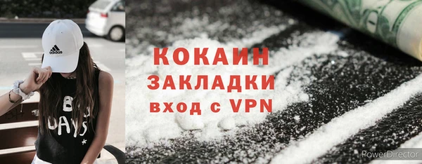 индика Касимов