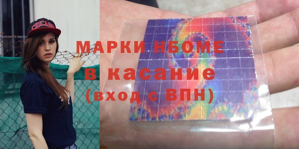 индика Касимов