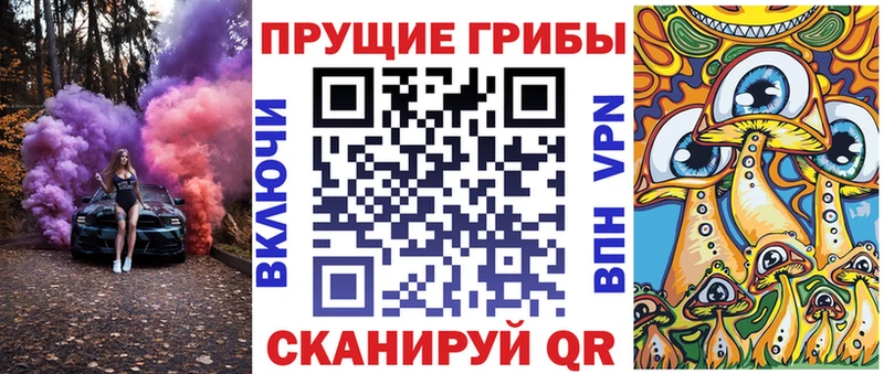 Псилоцибиновые грибы прущие грибы  Купить закладки  Каменка 