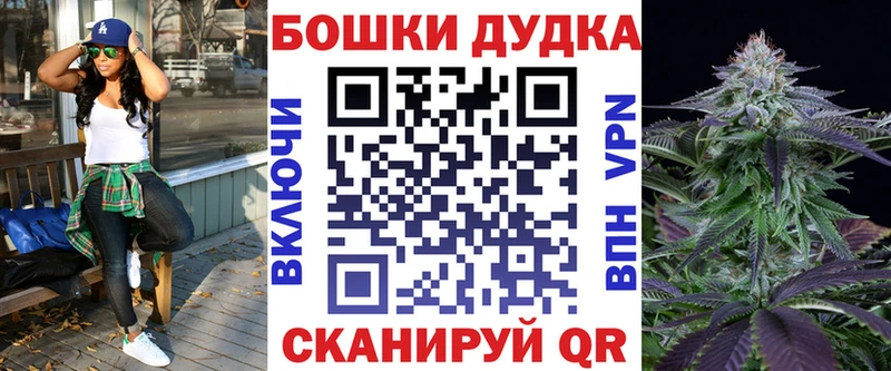 Купить где  Каменка  Каннабис семена 